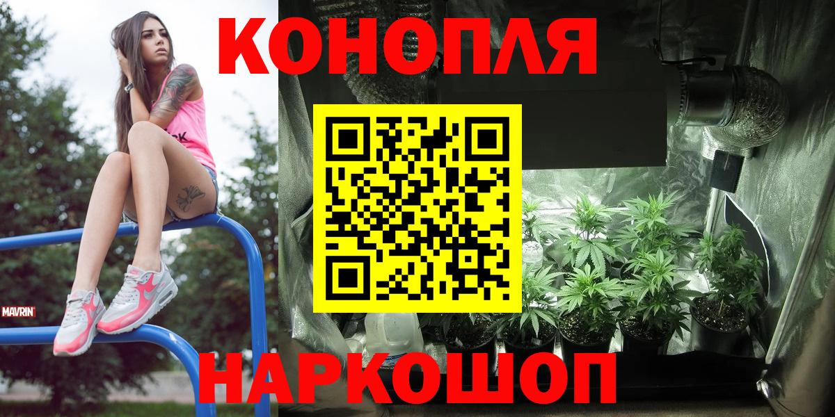 Бошки Шишки VHQ Тайшет